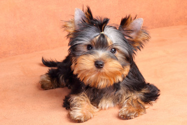 Similar image 369964