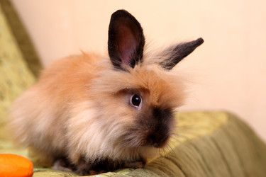 Similar image 369991