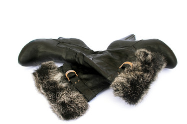 Similar image 370116