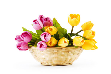 Similar image 370172