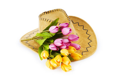 Similar image 370175