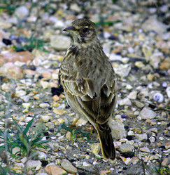 Similar image 370190