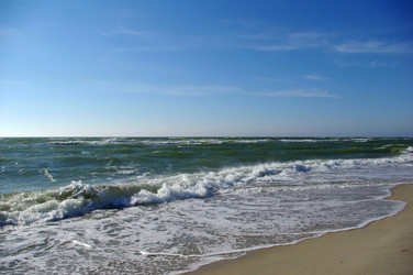 Similar image 370243