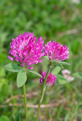 Similar image 370323