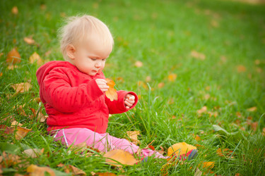 Similar image 370368