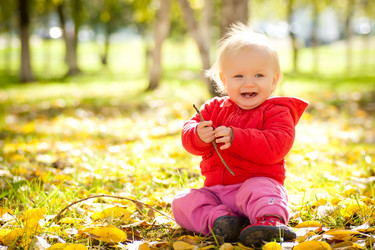 Similar image 370371