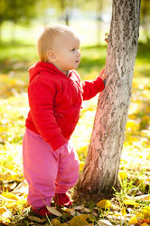 Similar image 370372