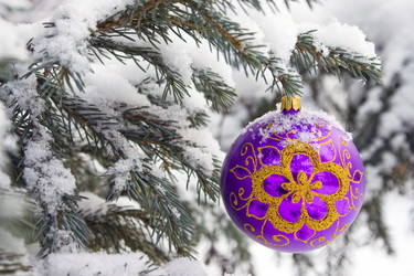 Similar image 370459