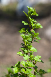 Similar image 370490