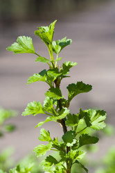 Similar image 370501