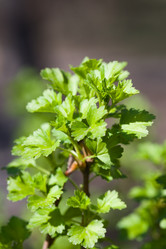 Similar image 370504