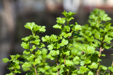 Similar image 370510