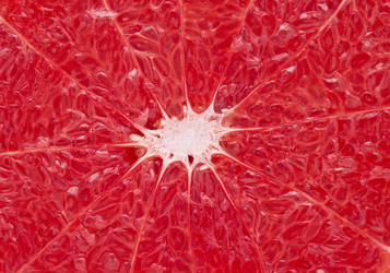 Similar image 370521