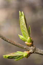 Similar image 370522