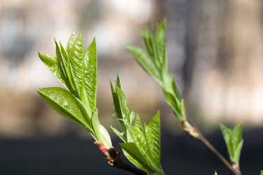 Similar image 370527