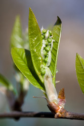 Similar image 370528