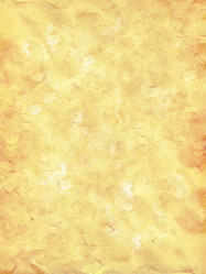 Similar image 370529