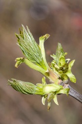 Similar image 370536