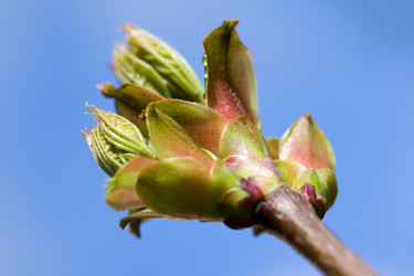 Similar image 370540