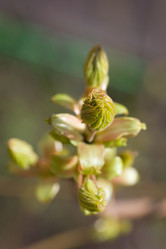 Similar image 370544