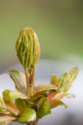 Similar image 370547