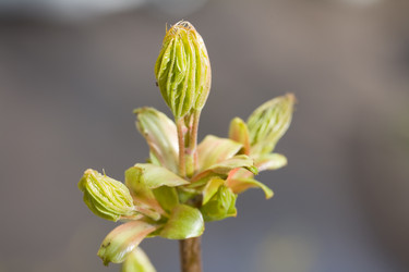 Similar image 370549