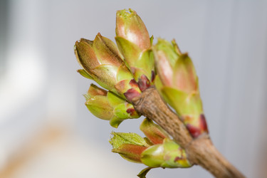 Similar image 370555