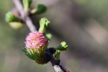 Similar image 370560