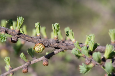 Similar image 370563