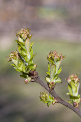 Similar image 370567