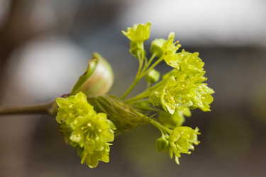 Similar image 370574