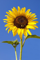 Similar image 370578