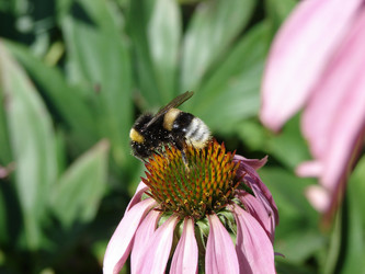 Similar image 370579