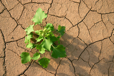 Similar image 370634