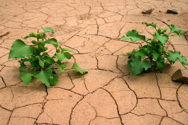 Similar image 370636