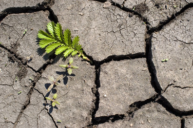 Similar image 370640