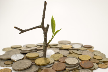 Similar image 370648