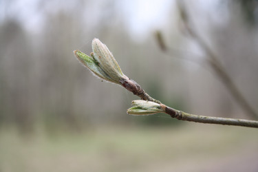 Similar image 370699