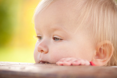 Similar image 370744