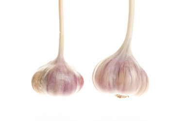 Similar image 370773