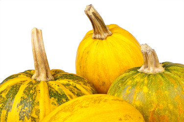 Similar image 370833