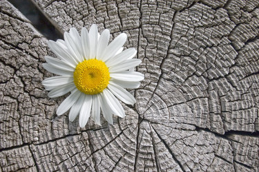 Similar image 370835