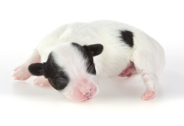 Similar image 370872