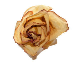 Similar image 370883