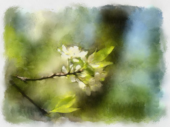 Similar image 371017