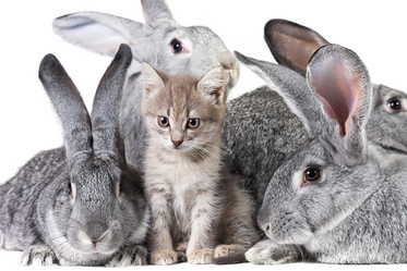 Similar image 371021