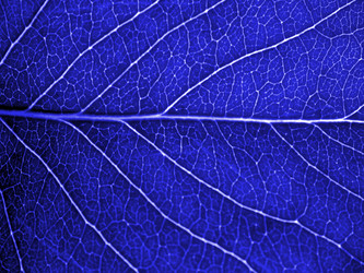 Similar image 371030