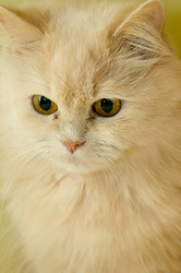 Similar image 371084