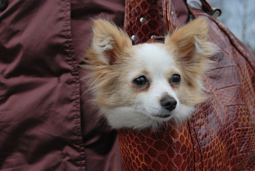 Similar image 371107