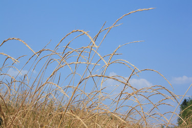 Similar image 371157